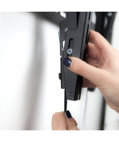 Staffa Per Tv Da 32" A 60" - Fissa - Pro